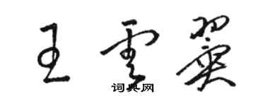 駱恆光王雲翼草書個性簽名怎么寫