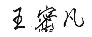 駱恆光王密凡行書個性簽名怎么寫