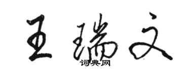 駱恆光王瑞文行書個性簽名怎么寫