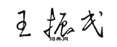駱恆光王振民草書個性簽名怎么寫