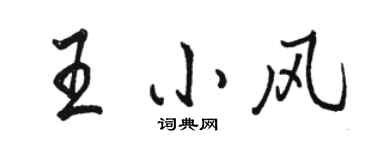 駱恆光王小風行書個性簽名怎么寫