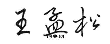 駱恆光王孟松行書個性簽名怎么寫