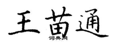 丁謙王苗通楷書個性簽名怎么寫