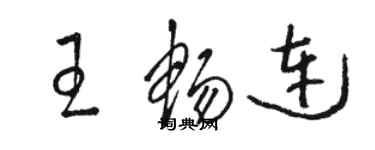 駱恆光王暢連草書個性簽名怎么寫