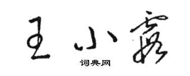 駱恆光王小霞草書個性簽名怎么寫