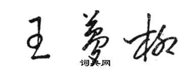 駱恆光王夢柳草書個性簽名怎么寫