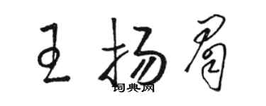駱恆光王揚眉草書個性簽名怎么寫