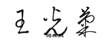 駱恆光王光菊草書個性簽名怎么寫