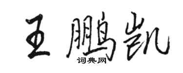 駱恆光王鵬凱行書個性簽名怎么寫