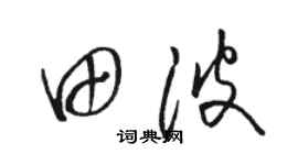 駱恆光田波草書個性簽名怎么寫