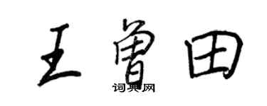王正良王曾田行書個性簽名怎么寫