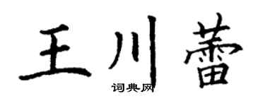 丁謙王川蕾楷書個性簽名怎么寫
