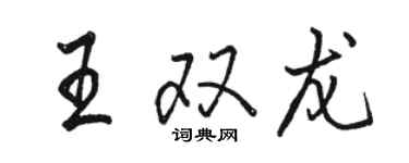 駱恆光王雙龍行書個性簽名怎么寫