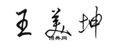 駱恆光王美坤行書個性簽名怎么寫