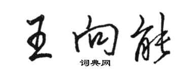 駱恆光王向能行書個性簽名怎么寫
