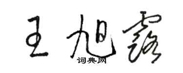 駱恆光王旭露草書個性簽名怎么寫