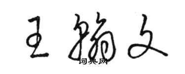 駱恆光王翰文草書個性簽名怎么寫