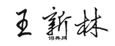駱恆光王新林行書個性簽名怎么寫