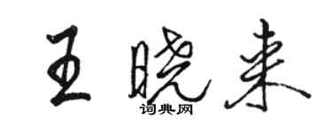 駱恆光王曉來行書個性簽名怎么寫