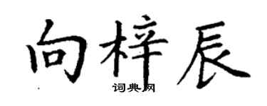 丁謙向梓辰楷書個性簽名怎么寫