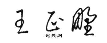 駱恆光王正野草書個性簽名怎么寫