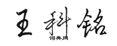 駱恆光王科銘行書個性簽名怎么寫