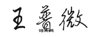 駱恆光王普微行書個性簽名怎么寫