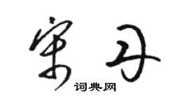 駱恆光宋丹草書個性簽名怎么寫