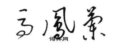 駱恆光馬鳳蘭草書個性簽名怎么寫