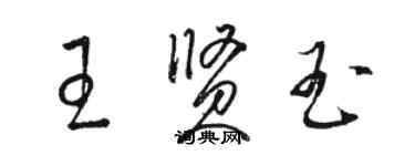 駱恆光王賢玉草書個性簽名怎么寫