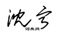 朱錫榮沈寧草書個性簽名怎么寫