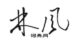 駱恆光林風草書個性簽名怎么寫