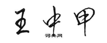 駱恆光王中甲行書個性簽名怎么寫