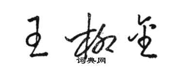 駱恆光王柳金草書個性簽名怎么寫