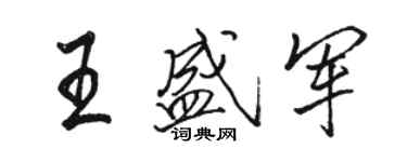 駱恆光王盛軍行書個性簽名怎么寫