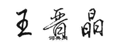 駱恆光王晉晶行書個性簽名怎么寫