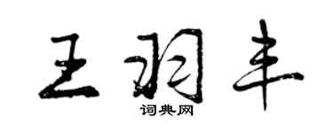曾慶福王羽豐行書個性簽名怎么寫
