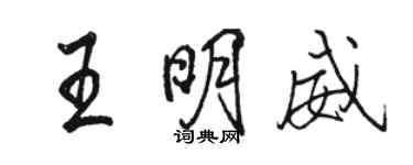 駱恆光王明威行書個性簽名怎么寫