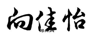 胡問遂向佳怡行書個性簽名怎么寫