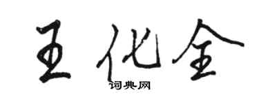 駱恆光王化全行書個性簽名怎么寫