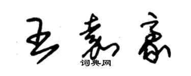 朱錫榮王嘉豪草書個性簽名怎么寫