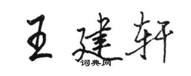 駱恆光王建軒行書個性簽名怎么寫