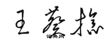 駱恆光王葵捻草書個性簽名怎么寫