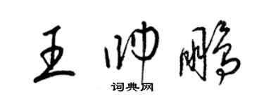 梁錦英王帥鵬草書個性簽名怎么寫