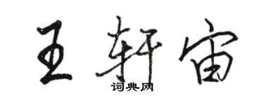 駱恆光王軒宙行書個性簽名怎么寫