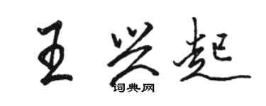 駱恆光王興起行書個性簽名怎么寫