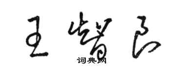 駱恆光王智良草書個性簽名怎么寫