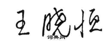 駱恆光王曉恆草書個性簽名怎么寫