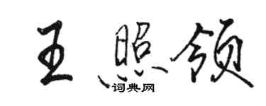 駱恆光王照領行書個性簽名怎么寫