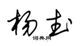 朱錫榮楊武草書個性簽名怎么寫